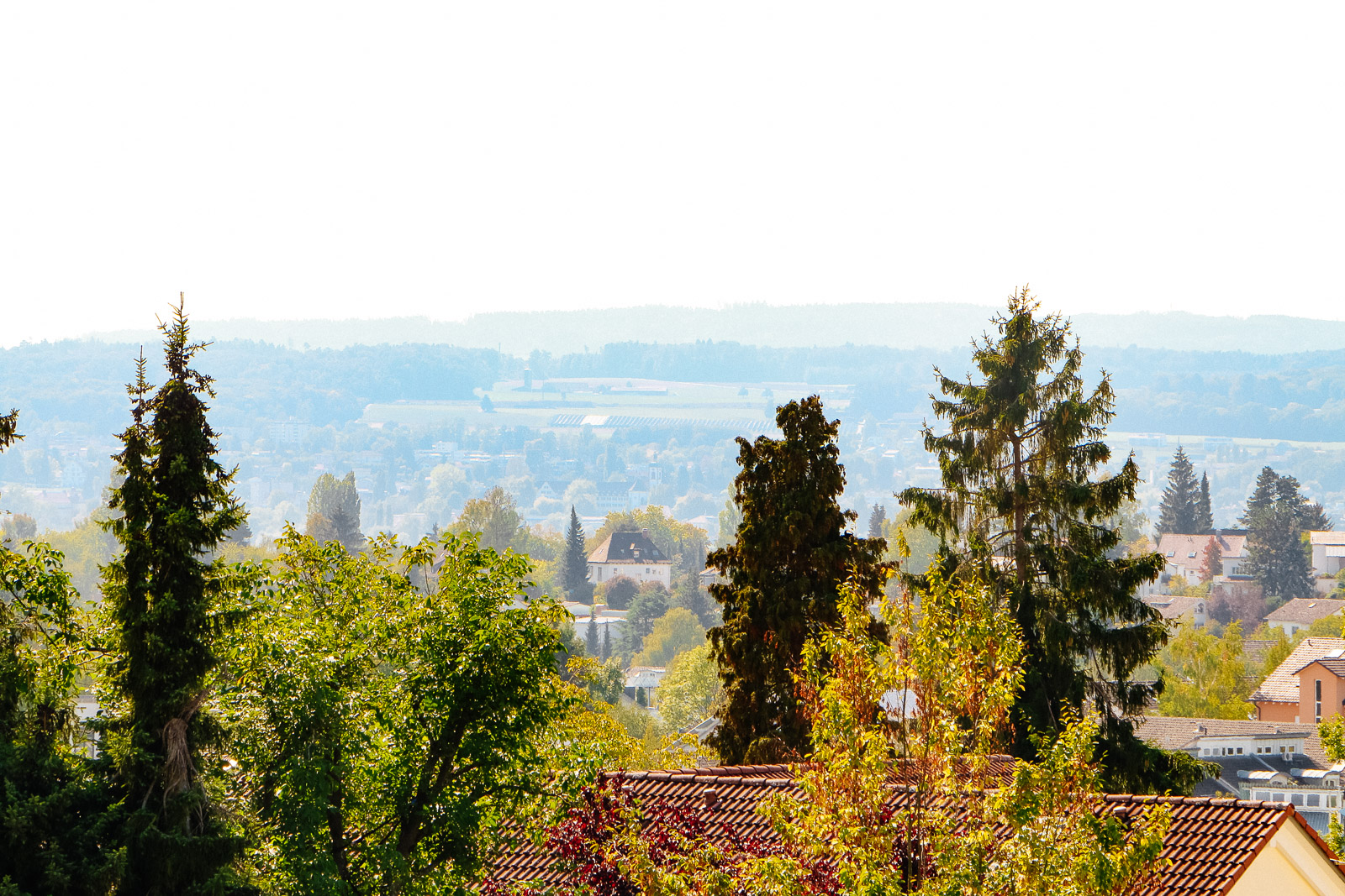 immobilien konstanz Koberleweg immobilien konstanz Koberleweg